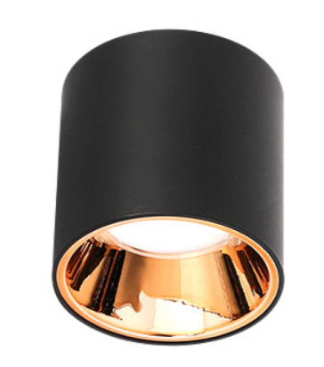 Blink Ceiling Light